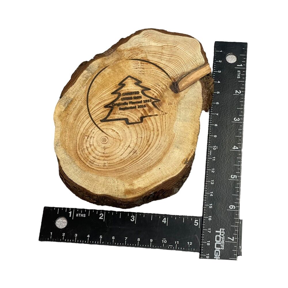 Canisteo Living Sign Tree Ring 5x7 Cutting Planted 1933 Replanted 2016 - Picture 6 of 6